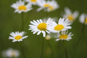 産後のインナーマッスルの効果的な鍛え方は？