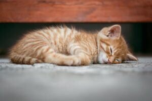 産後ママの睡眠改善に効果的な運動とは？