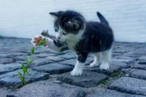 産後に効果的なヒップアップレッスンはどんなものがある？
