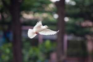 産後に参加するバランスボールクラスの効果とは？