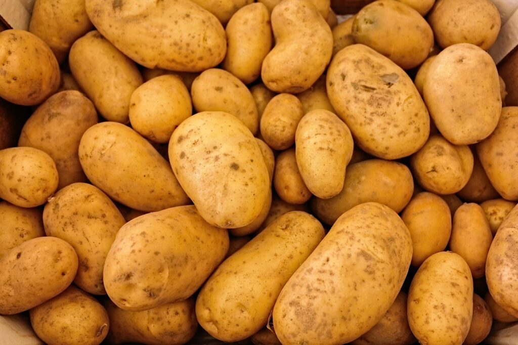 産後の栄養バランスをチェックするためのポイントは？