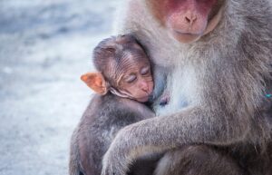 授乳室完備のパーソナルジムはどこにある？