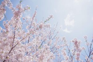 札幌で子連れでも楽しめるジムはどこ？